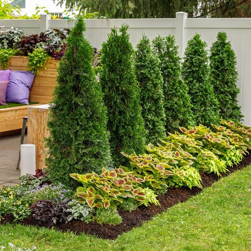 Ornamental & Native Plant Installations